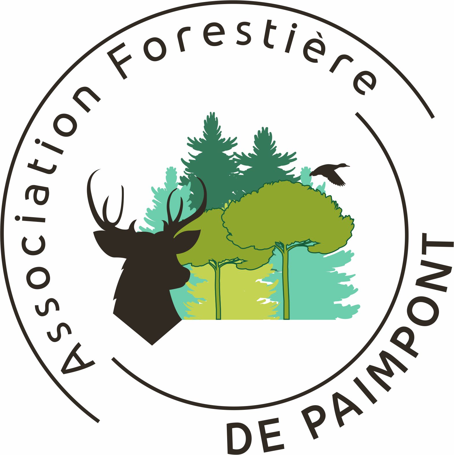 LogoAssoForestièrePaimpont